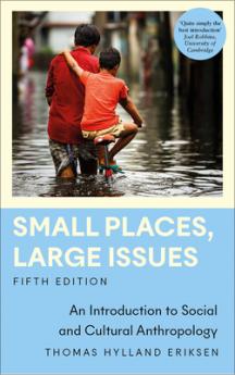 Small Places Large Issues: An Introduction to Social and Cultural Anthropology