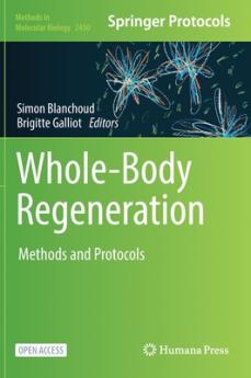 Whole-Body Regeneration