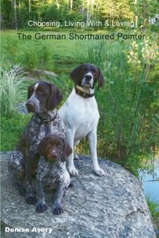 Choosing Living With & Loving The German Shorthaired Pointer