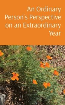 Ordinary Person's Perspective on an Extraordinary Year