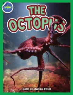 Octopus ages 2-4