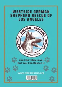 Pump it up Magazine - Wendy Dale Young's jazzy rendition of The Look of Love is sure to steal your heart!