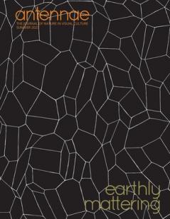 Antennae #61 Earthly Mattering