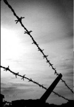 Four Nights in Brooklyn