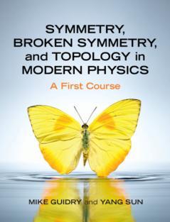 Symmetry Broken Symmetry and Topology in Modern Physics