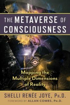 Metaverse of Consciousness