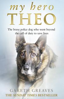 My Hero Theo