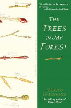 Trees in My Forest The