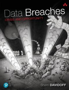 Data Breaches