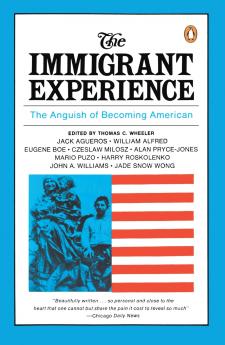 Immigrant Experience