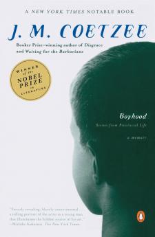 Boyhood