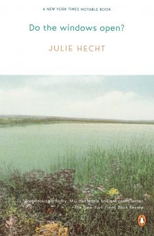 Do the Windows Open?