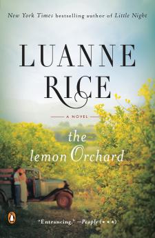 Lemon Orchard