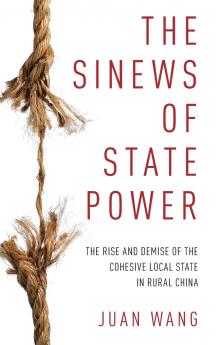 Sinews of State Power