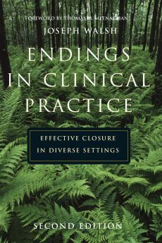 Endings in Clinical Practice Second Edition