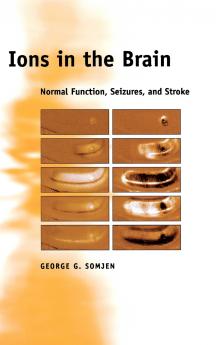 Ions in the Brain