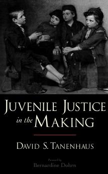 Juvenile Justice in the Making