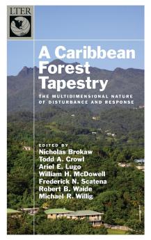 Caribbean Forest Tapestry