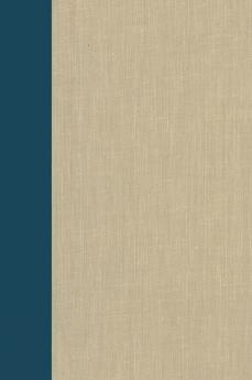 Terrorism Documents of International and Local Control