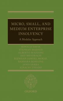 Micro Small and Medium Enterprise Insolvency
