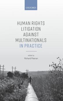 Human Rights Litigation Against Multinationals in Practice