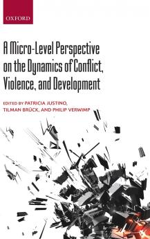 Micro-Level Perspective on the Dynamics of Conflict Violence and Development