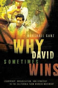 Why David Sometimes Wins