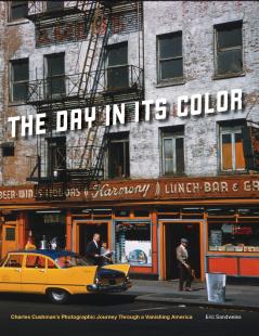 Day in Its Color