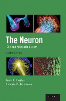 Neuron