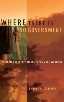 Where There Is No Government
