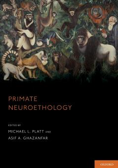 PRIMATE NEUROETHOLOGY P