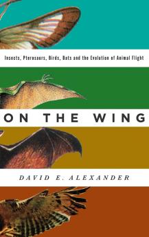 On the Wing