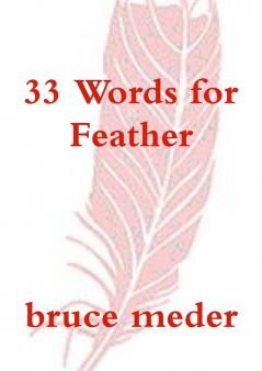 33 Words for Feather