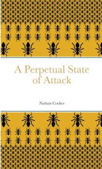 A Perpetual State of Attack