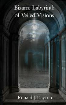 Bizarre Labyrinth of Veiled Visions