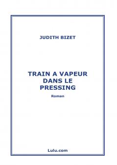 Train a Vapeur Dans Le Pressing