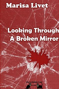 Looking Through A Broken Mirror