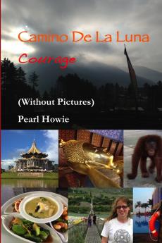 Camino De La Luna - Courage (Without Pictures)