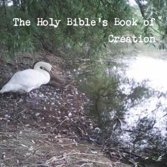 Holy Bible's Book of Creation