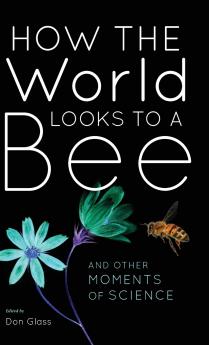 How the World Looks to a Bee