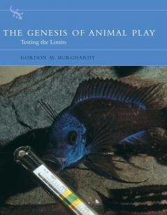 Genesis of Animal Play