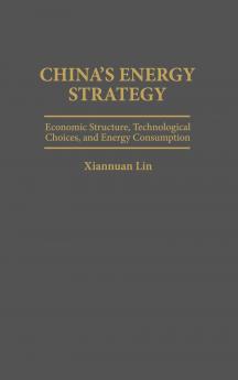 China's Energy Strategy