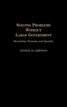 Solving Problems Without Large Government