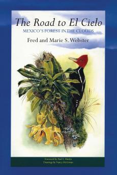 The Road to El Cielo