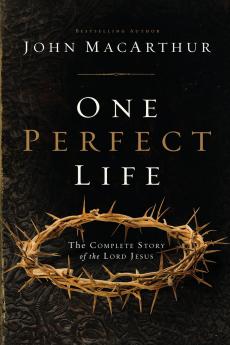 The One Perfect Life