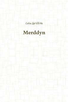 Merddyn