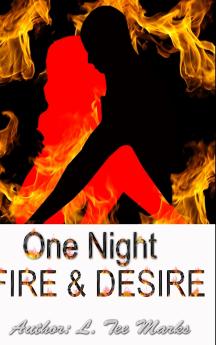 ONE NIGHT