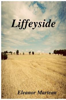 Liffeyside