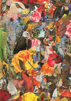 Golden Hummingbird Garden