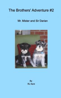The Brothers' Adventure #2